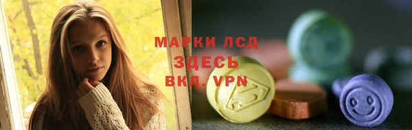 ГАЛЛЮЦИНОГЕННЫЕ ГРИБЫ Медногорск