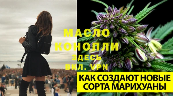 ГАЛЛЮЦИНОГЕННЫЕ ГРИБЫ Медногорск