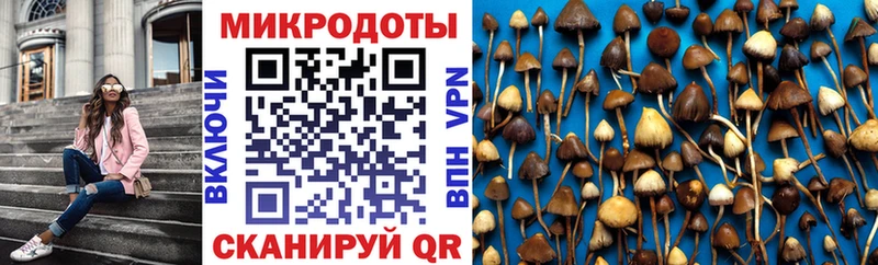 Галлюциногенные грибы GOLDEN TEACHER  купить наркотики цена  Печора 