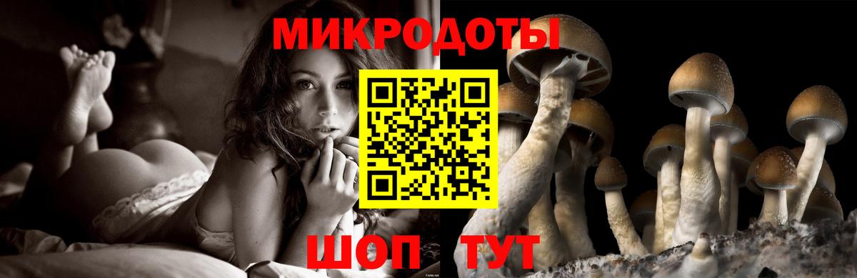Псилоцибиновые грибы Psilocybe Печора